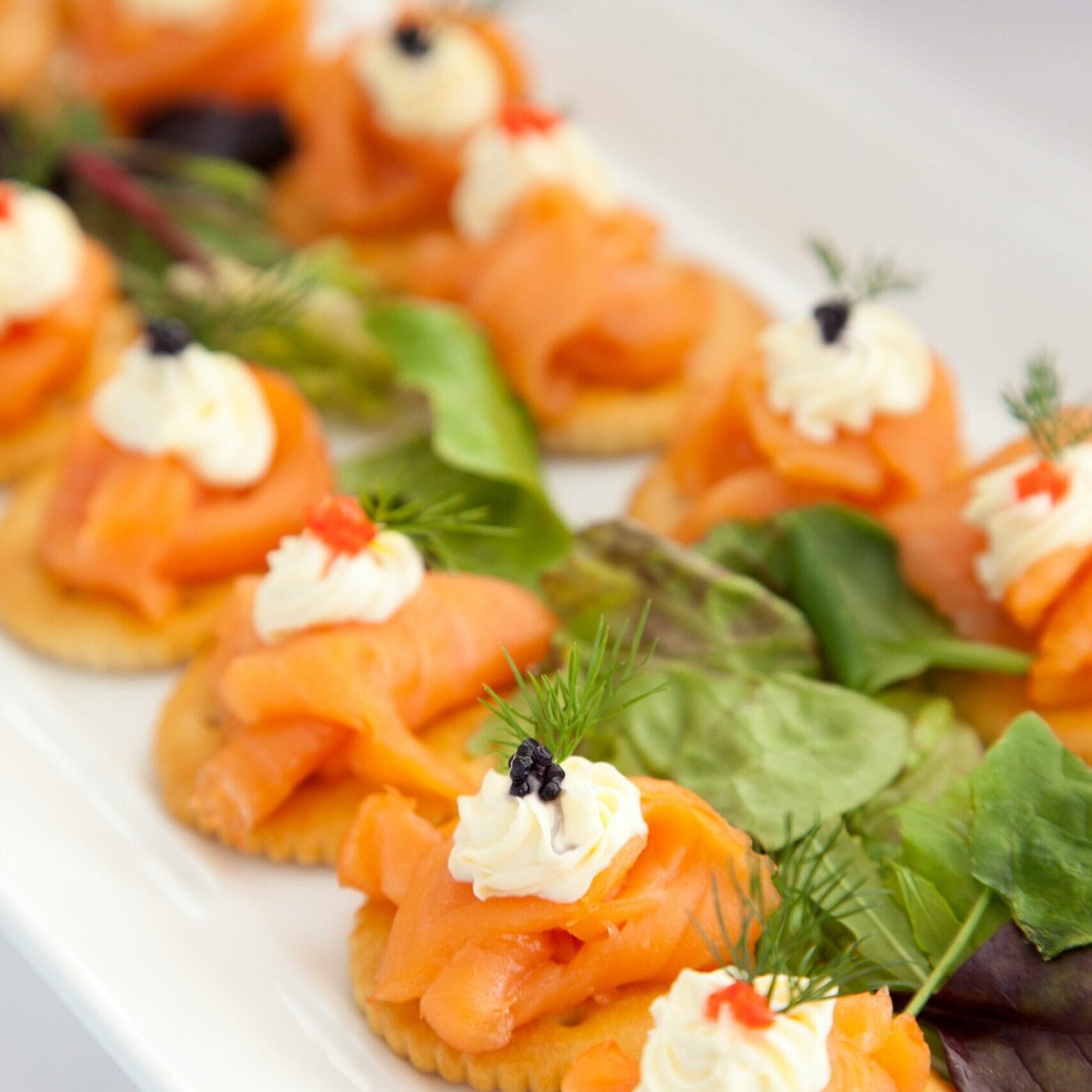 shaun-meintjes-SjW5FPwLm2s-unsplash